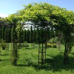 Holland550 Stabil Rund Eisen Gartenpavillon